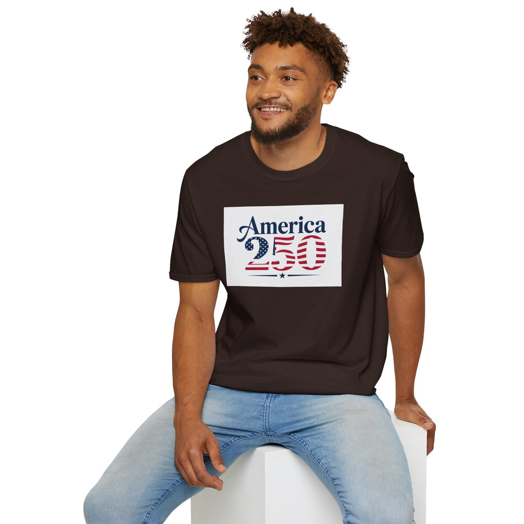 America 250 T-Shirt | Patriotic USA Flag Numbers