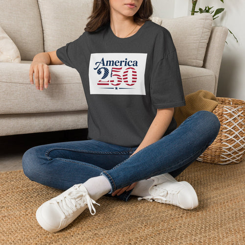 America 250 T-Shirt | Patriotic USA Flag Numbers