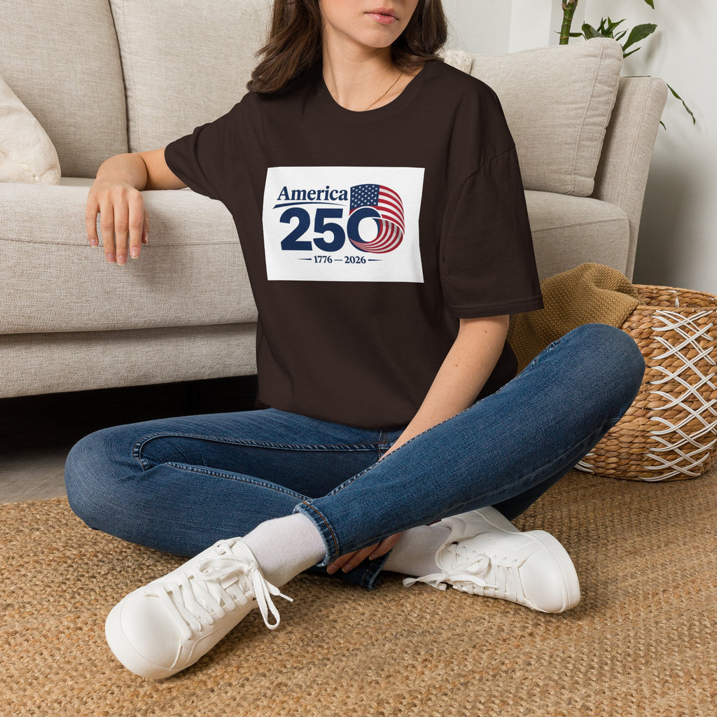 America 250 1776-2026 T-Shirt | Bicentennial Style Flag Graphic