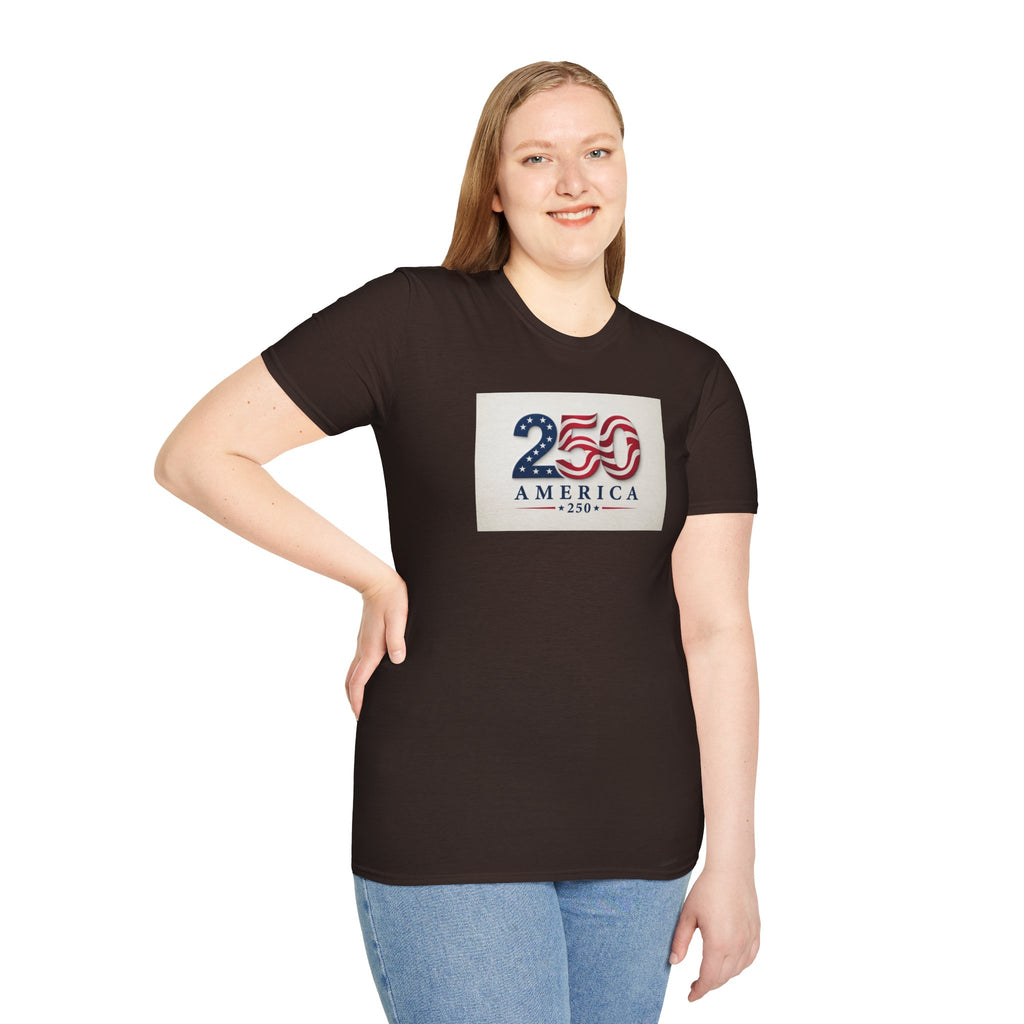 USA Flag 250 Anniversary T-Shirt | Patriotic 250 America Graphic